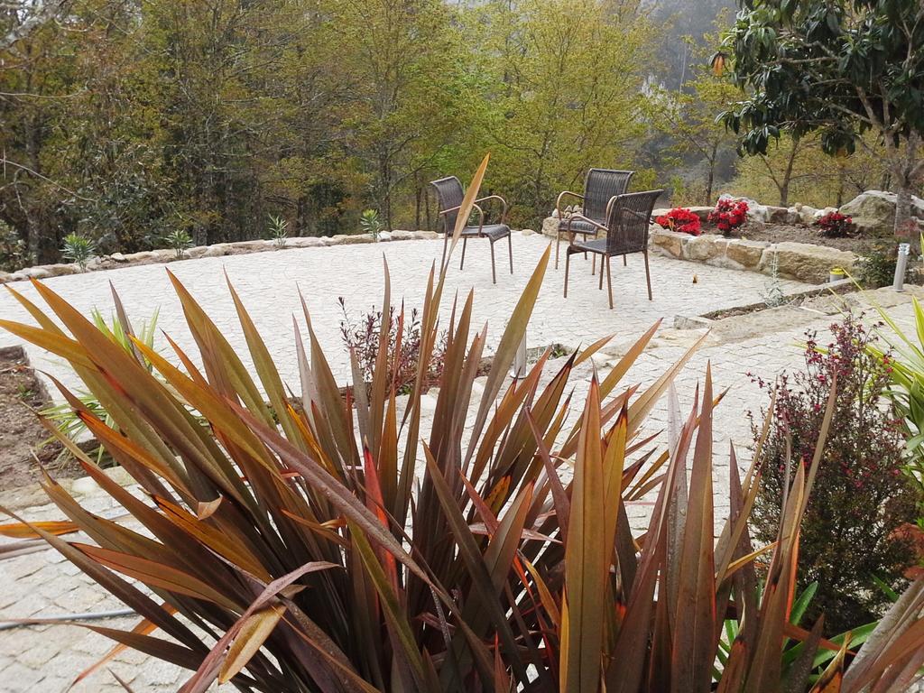 Villa Lugar Do Pego Tondela Exteriér fotografie