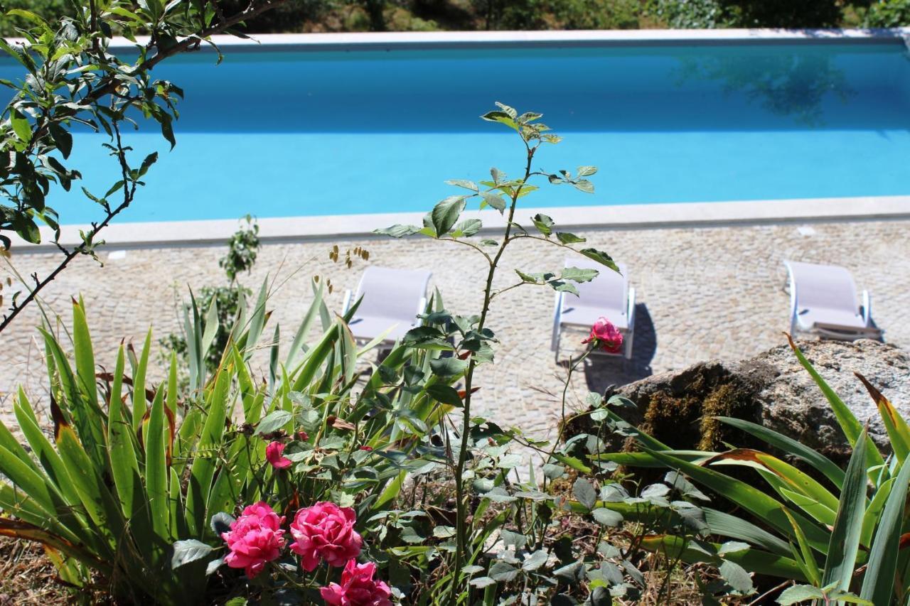 Villa Lugar Do Pego Tondela Exteriér fotografie